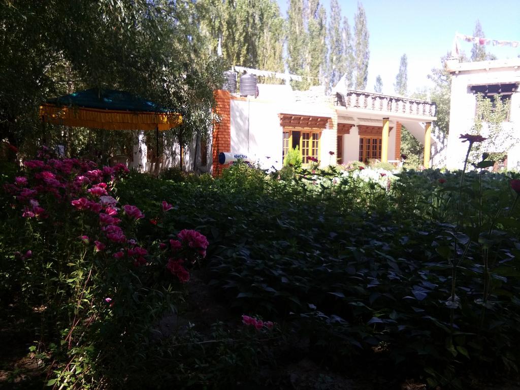 Galaxy Guest House Hundar Exteriér fotografie